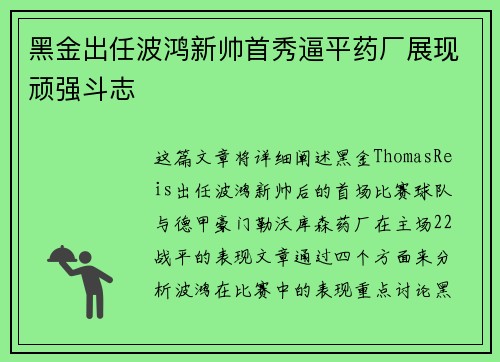 黑金出任波鸿新帅首秀逼平药厂展现顽强斗志 黑金出任波鸿新帅首秀逼平药厂展现顽强斗志